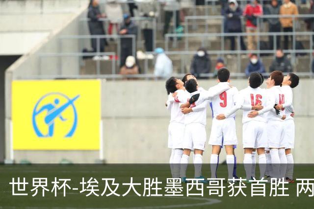 世界杯-埃及大胜墨西哥获首胜 两队均无缘16强