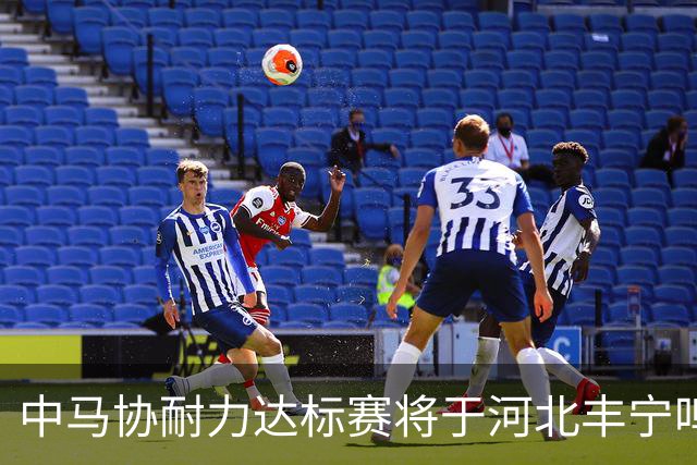 中马协耐力达标赛将于河北丰宁鸣枪 数十家专业马术俱乐部角逐