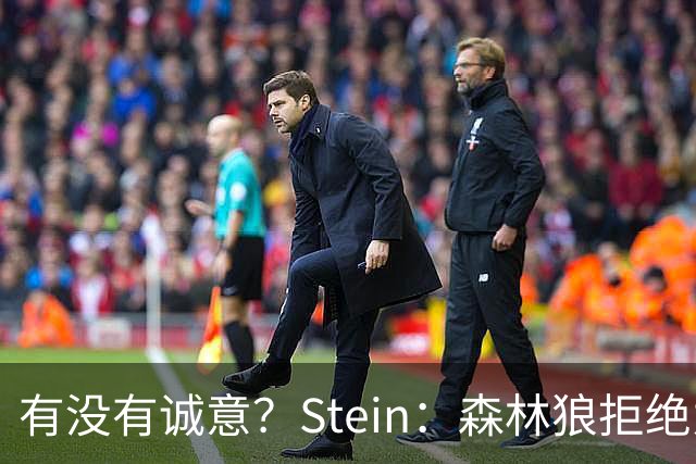 有没有诚意？Stein：森林狼拒绝为三球出麦丹 也不想出迪文&里德