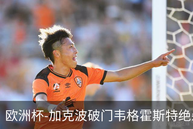 欧洲杯-加克波破门韦格霍斯特绝杀 荷兰2-1波兰